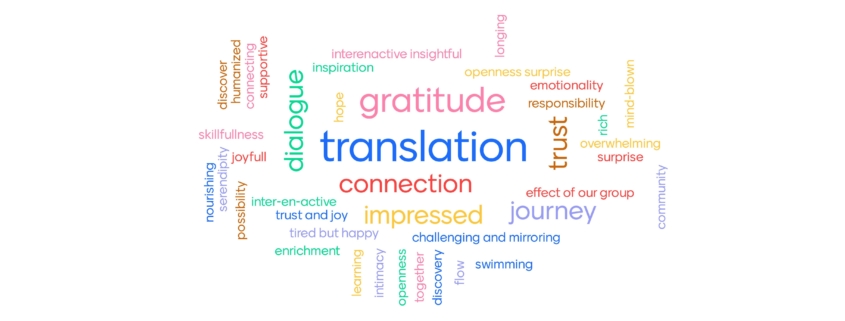 ESRI 2020: what word best captures your experience? (image: Mind & Life Europe)